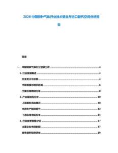 2026中國特種氣體行業技術壁壘與進口替代空間分析報告