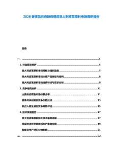 2026奢侈品供應(yīng)鏈透明度意大利皮革原料市場(chǎng)調(diào)研報(bào)告