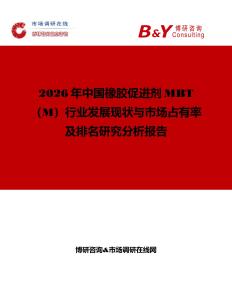 2026年中國橡膠促進劑MBT（M）行業發展現狀與市場占有率及排名研究分析報告