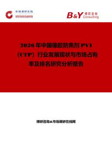 2026年中國橡膠防焦劑PVI（CTP）行業(yè)發(fā)展現(xiàn)狀與市場占有率及排名研究分析報告