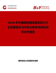 2026年中國橡膠隧道管段墊片行業(yè)發(fā)展現(xiàn)狀與市場占有率及排名研究分析報(bào)告
