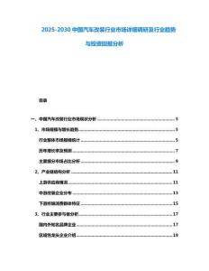 2025-2030中國汽車改裝行業市場詳細調研及行業趨勢與投資回報分析