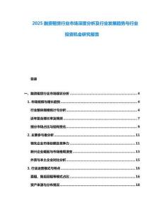 2025融資租賃行業(yè)市場深度分析及行業(yè)發(fā)展趨勢與行業(yè)投資機會研究報告