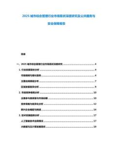2025城市綜合管理行業市場現狀深度研究及公共服務與安全保障報告