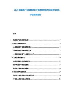2025氫能源產(chǎn)業(yè)發(fā)展現(xiàn)狀與能源轉(zhuǎn)型技術創(chuàng)新研究分析評估規(guī)劃報告