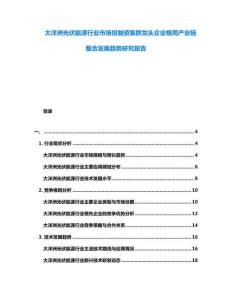 大洋洲光伏能源行業(yè)市場投融資集群龍頭企業(yè)格局產(chǎn)業(yè)鏈整合發(fā)展趨勢研究報告