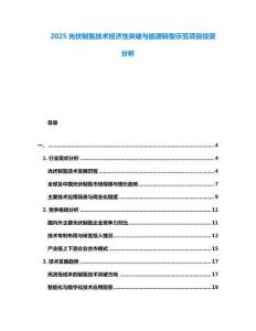 2025光伏制氫技術(shù)經(jīng)濟(jì)性突破與能源轉(zhuǎn)型示范項(xiàng)目投資分析
