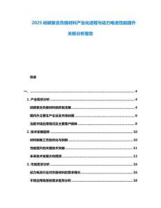 2025硅碳復(fù)合負(fù)極材料產(chǎn)業(yè)化進(jìn)程與動(dòng)力電池性能提升關(guān)聯(lián)分析報(bào)告