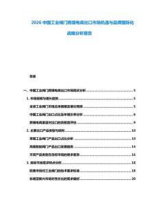 2026中國工業(yè)閥門跨境電商出口市場機遇與品牌國際化戰(zhàn)略分析報告