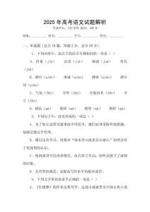 2025年高考語(yǔ)文試題解析