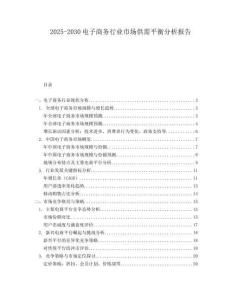 2025-2030電子商務行業(yè)市場供需平衡分析報告