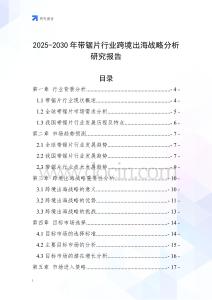 2025-2030年帶鋸片行業跨境出海戰略分析研究報告