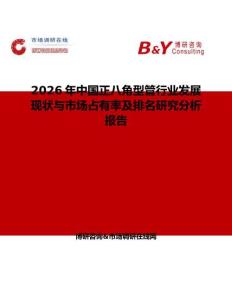 2026年中國(guó)正八角型管行業(yè)發(fā)展現(xiàn)狀與市場(chǎng)占有率及排名研究分析報(bào)告