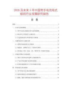 2026及未來5年中國帶手電充電式蚊拍行業(yè)發(fā)展研究報告