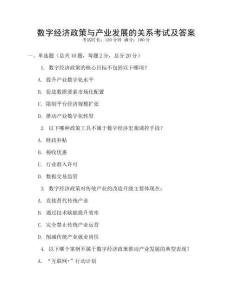數(shù)字經(jīng)濟(jì)政策與產(chǎn)業(yè)發(fā)展的關(guān)系考試及答案
