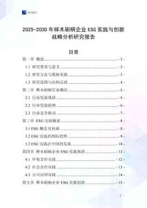 2025-2030年櫸木刷柄企業ESG實踐與創新戰略分析研究報告
