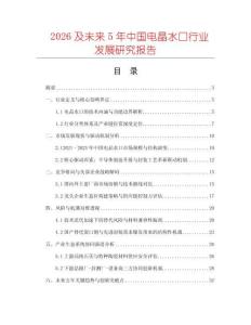 2026及未來5年中國電晶水口行業發展研究報告