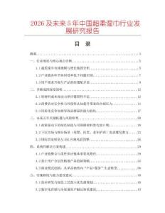 2026及未來5年中國超柔濕巾行業發展研究報告