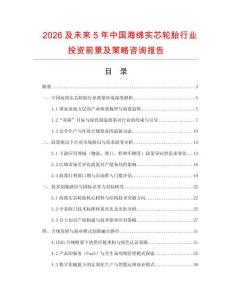 2026及未來5年中國海綿實芯輪胎行業(yè)投資前景及策略咨詢報告