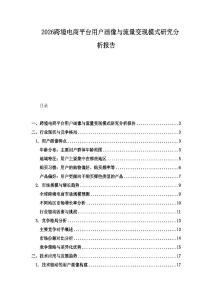 2026跨境電商平臺用戶畫像與流量變現模式研究分析報告