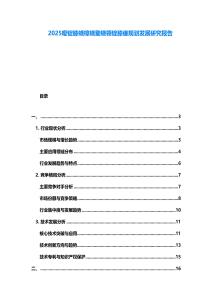 2025噔錠膝蟯樟蟯鐜蟯領錠膝瘥規劃發展研究報告