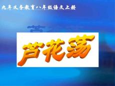 下载 ppt课件 人教版 八年级上 第1单元 芦花荡