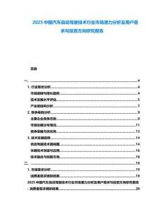 2025中國汽車自動駕駛技術行業市場潛力分析及用戶需求與投資方向研究報告