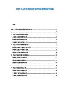 2025礦業開發項目投資現狀與融資策略研究報告
