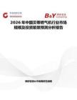 2026年中國貝蒂噴氣機行業市場規模及投資前景預測分析報告