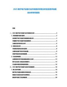 2025椰子電子設(shè)備行業(yè)市場現(xiàn)狀供需分析及投資評估規(guī)劃分析研究報告