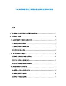 2025跨境電商支付結(jié)算體系與風(fēng)險(xiǎn)管理分析報(bào)告