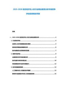 2025-2030低空經濟無人機行業商業前景分析市場競爭評估投資規劃手冊
