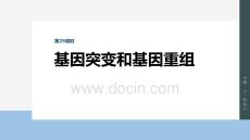 2026屆高考生物一輪總復(fù)習(xí)課件：第七單元　第29課時(shí)　基因突變和基因重組