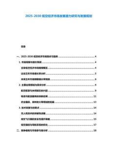 2025-2030低空經濟市場發展潛力研究與發展規劃