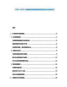 2025-2030大數據資源挖掘精準營銷企業業務設計