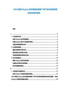 2025新型display技术领域应用推广和产业升级深度调研综合研究报告