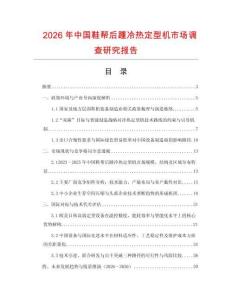 2026年中国鞋帮后踵冷热定型机市场调查研究报告