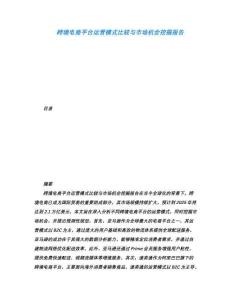 跨境電商平臺運營模式比較與市場機會挖掘報告