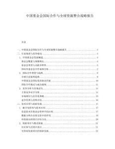中國基金會國際合作與全球資源整合戰略報告