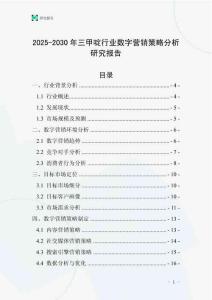 2025-2030年三甲啶行業數字營銷策略分析研究報告