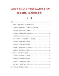 2026年及未來5年打磨機三彎項目市場數(shù)據(jù)調(diào)查、監(jiān)測研究報告