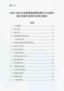 2025-2030年先鋒霉素緩釋控釋片行業盈利模式創新與變革分析研究報告