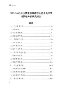 2025-2030年抗菌素緩釋控釋片行業數字營銷策略分析研究報告