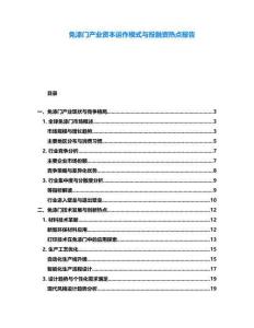 免漆门产业资本运作模式与投融资热点报告