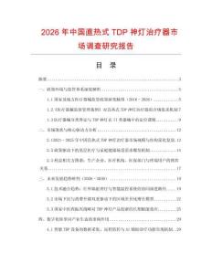 2026年中國直熱式TDP神燈治療器市場調查研究報告