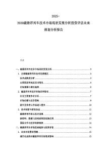 2025-2030磁懸浮列車技術(shù)市場現(xiàn)狀發(fā)展分析投資評估未來規(guī)劃分析報告