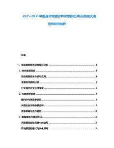 2025-2030中國自動駕駛技術(shù)研發(fā)現(xiàn)狀分析及智能交通規(guī)劃研究報告