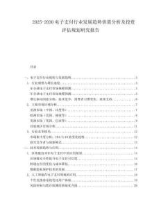 2025-2030电子支付行业发展趋势供需分析及投资评估规划研究报告