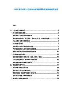 2025第三方支付行业市场发展前景与竞争策略研究报告