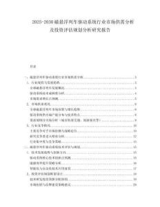 2025-2030磁懸浮列車驅(qū)動(dòng)系統(tǒng)行業(yè)市場(chǎng)供需分析及投資評(píng)估規(guī)劃分析研究報(bào)告